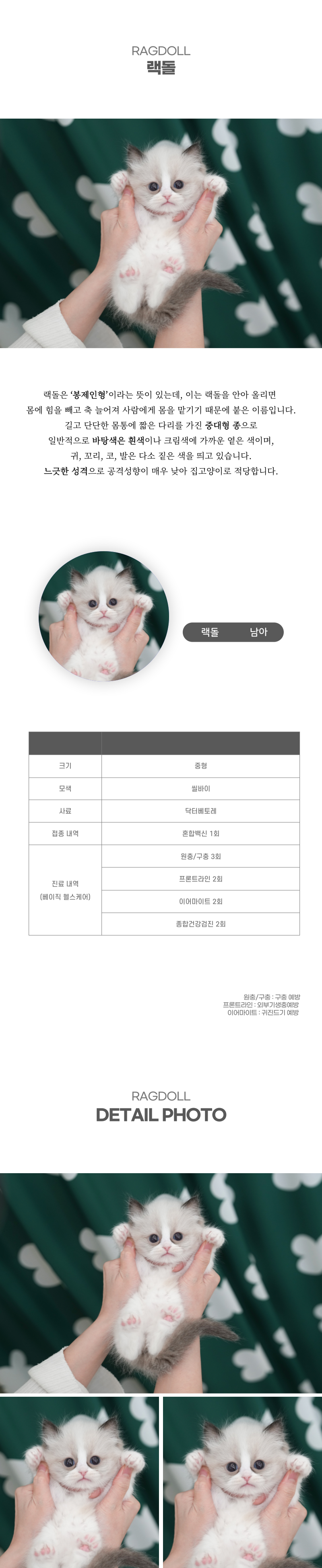 랙돌_상세이미지_2